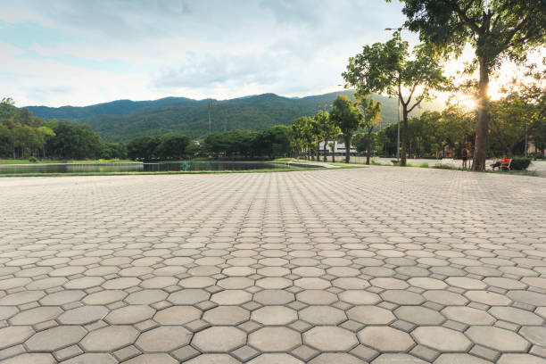 Trusted Pelican Bay, TX Driveway Pavers Experts